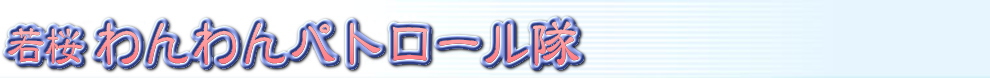 ��������p�g���[����